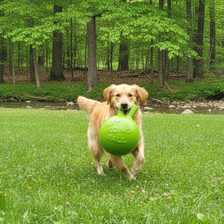PPH Tug-N-Toss Interactive Dog Ball with Handle