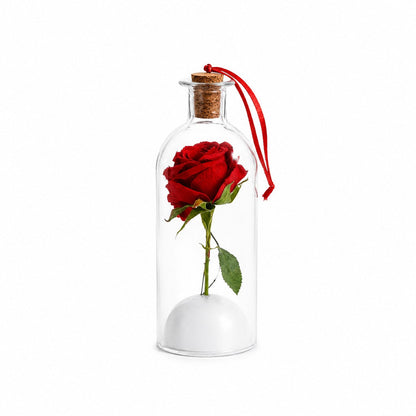 🎄 A Little Bottle. A Voice They'll Never Forget.