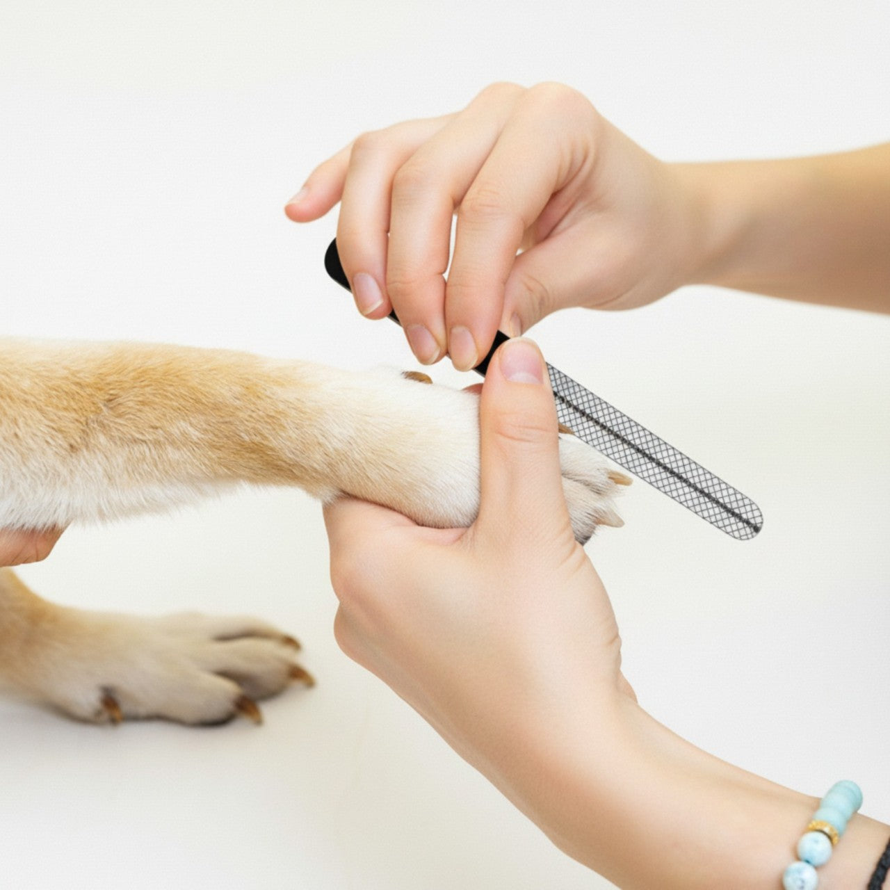 PPH Professional Pet Nail Clipper with Safety Guard