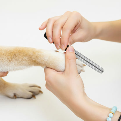 PPH Professional Pet Nail Clipper with Safety Guard