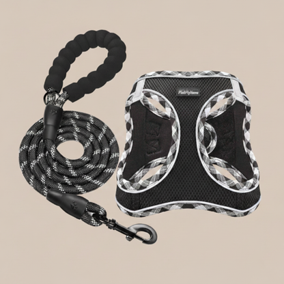 PPH Breathable Mesh Dog Harness & Leash Set