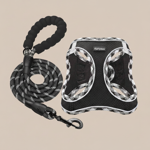 PPH Breathable Mesh Dog Harness & Leash Set
