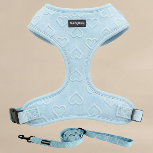 PPH No-Pull Step-In Dog Harness with Leash Set