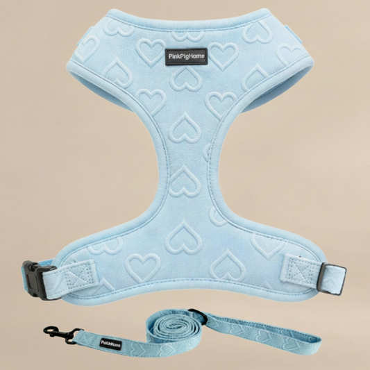 PPH No-Pull Step-In Dog Harness with Leash Set