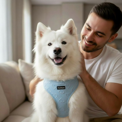 PPH No-Pull Step-In Dog Harness with Leash Set